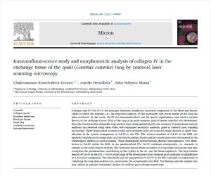 Mehr über den Artikel erfahren Article in Micron journal