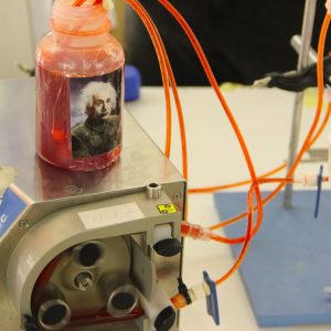 A bottle with red fluid inside and Albert Einsteins face on it, is standing on top of and connected via tubes to a metallic pump